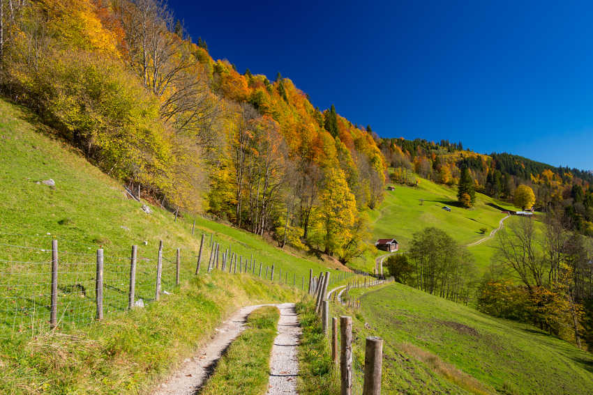 � Marc Hohenleitner